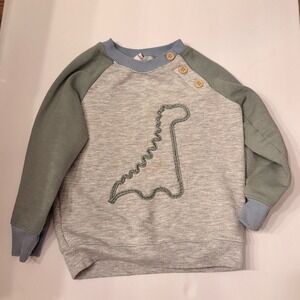 Kids Dinosaur Applique Crewneck Sweatshirt Light Blue Trim Buttons Size 18M Dino